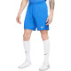 NIKE Park III Dri-FIT Shorts Blue