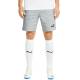 PUMA teamFINAL Casualsl Shorts Grey