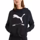 PUMA Nu-Tility Hoodie Black