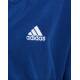 ADIDA Future Icons Primegreen Polar Fleece 3-Stripes Hoodie Blue