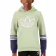 ADIDAS Originals Sport Collection Hoodie Green