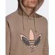 ADIDAS Originals R.Y.V. Alien Graphic Hoodie Brown