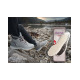 BAMA Alutherm Airtech Insoles Beige