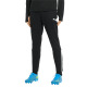 PUMA TeamLiga Training Football Pants Black
