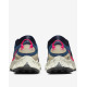 NIKE Pegasus Trail 3 Gore-Tex Shoes Blue