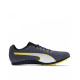 PUMA Evospeed Distance 8 Shoes Grey/White