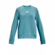 UNDER ARMOUR Rival Terry Crew Blue