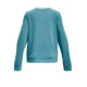 UNDER ARMOUR Rival Terry Crew Blue