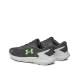 UNDER ARMOUR Charged Rogue 3 Shoes Grey/Green