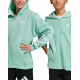 ADIDAS Future Icos 3-Stripes Full-Zip Hoodie Green