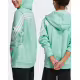 ADIDAS Future Icos 3-Stripes Full-Zip Hoodie Green