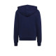 ADIDAS Sportswear Linear Logo Full-Zip Hoodie Blue