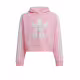 ADIDAS Originals Adicolor Cropped Hoodie Pink
