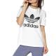 ADIDAS Trefoil Tee White