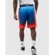 PUMA x Bmw M Motorsport Retro Shorts Multicolor