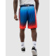 PUMA x Bmw M Motorsport Retro Shorts Multicolor