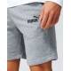 PUMA EvoTec Shorts Grey