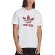 ADIDAS Originals Adicolor Classics Trefoil Tee White