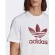 ADIDAS Originals Adicolor Classics Trefoil Tee White