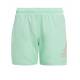 ADIDAS Logo Clx Swim Shorts Green