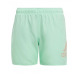 ADIDAS Logo Clx Swim Shorts Green