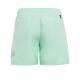 ADIDAS Logo Clx Swim Shorts Green