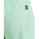 ADIDAS Logo Clx Swim Shorts Green