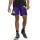 ADIDAS Performance Galaxy Basketball Shorts Multicolor