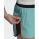 ADIDAS Terrex Primeblue Trail Running Shorts Green