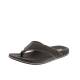 SKECHERS Pelem Belago Flip Flops Brown