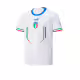 PUMA x Italy FIGC Away Training Tee White