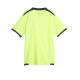 PUMA TeamLiga DryCell Football Tee Green