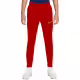 NIKE Dri-Fit Academy 21 Pants Red