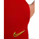 NIKE Dri-Fit Academy 21 Pants Red