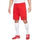 NIKE Strike 22 Shorts Red