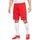 NIKE Strike 22 Shorts Red