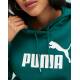 PUMA Essentials Logo Fleece Hoodie Green