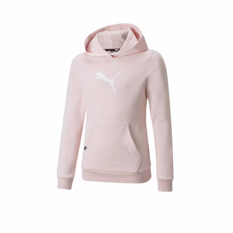 PUMA Power Graphic Hoodie Pink