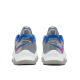 NIKE x Paul George PG 5 Shoes Metallic Silver/Grey