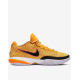 NIKE x LeBron James XX Basketball Shoes Orange