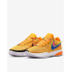 NIKE x LeBron James XX Basketball Shoes Orange