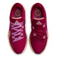NIKE x Giannis Zoom Freak 5 Alphabet Bros Basketball Shoes Burgundy