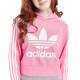 ADIDAS Originals Adicolor Hoodie Pink