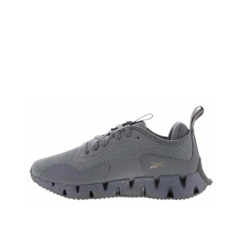 REEBOK Zig Dynamica Shoes Grey