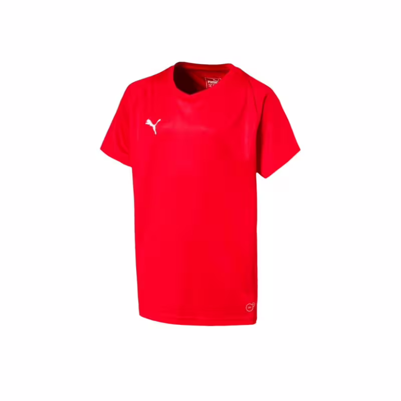 PUMA Liga Core Football Tee Red