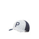 PUMA Palms Trucker P Snapback Cap White/Navy