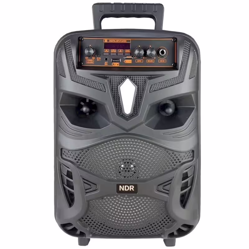 Караоке тонколона NDR-P55, 8", активна, вграден усилвател, 1 жичен микрофон, ДУ, 20W