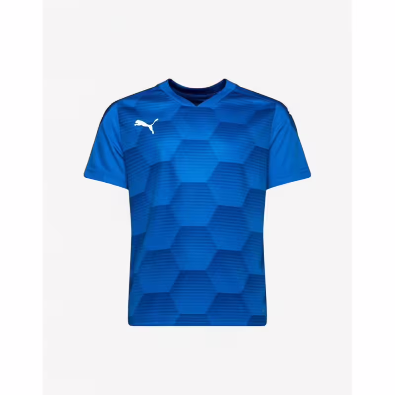 PUMA TeamFINAL 21 Graphic Tee Blue