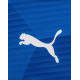 PUMA TeamFINAL 21 Graphic Tee Blue