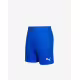 PUMA TeamFINAL 21 Knit Shorts Blue